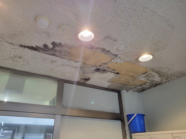 事務所天井雨漏り修理
